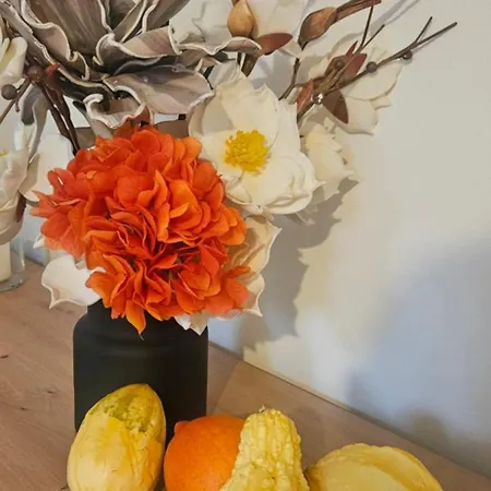 Apartament Selecta